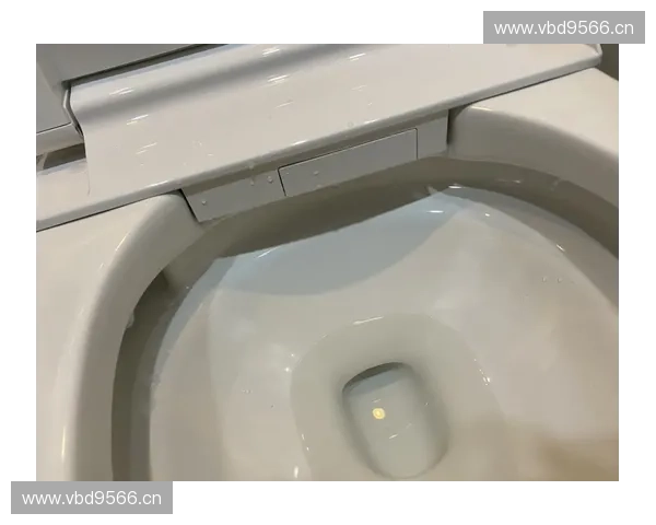 智能马桶盖深度测评 优缺点全解析 帮你选出最适合的款式